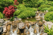 海外「なんて見事な！日本庭園はまさに芸術品です！」何故かウィーンにも世田谷公園があるらしい…（海外の反応）