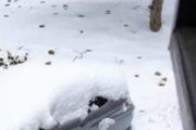 【画像】ジグザグ除雪