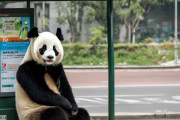 中国人「日本の公共交通機関が難解すぎて泣けてくる」　中国人「智商税を払ってしまったか」「行先を間違えなかっただけマシだね！」