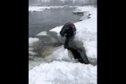 この人、何をしようとしていたのか理解しかねる映像が海外で話題に