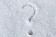 外国人に日本の印象聞いてみた！『日本は思っていた通りのところでしたか？』 →「初めて日本に来たとき、尊敬と謙虚さと平和がそこにありました」「とても恥ずかしい」海外の反応