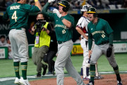 WBCで豪少女と日本の観客が一緒に応援する様子に海外興味津々！（海外の反応）