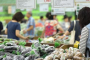韓国経済、事実上のデフレ突入…「日本の失われた20年」の後を追うのか＝韓国の反応