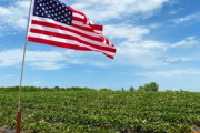 アメリカの国歌を歌った韓国人VS日本人の歌手を見てショックを受けたアメリカ海兵隊の反応「礼儀に反する」「低俗なエチケット」海外の反応