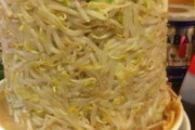外国人「日本のラーメンを本気でトッピングするとこうなるｗｗｗ」