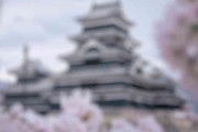 満開の桜越しの松本城→海外「うわぁ、きれいな眺め！」「本当に見事」「日本には桜の開花予想というものがある」