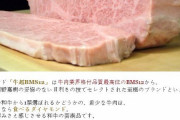 韓国人「世界一高い日本のステーキの値段をご覧ください」→「これは油の塊だろ‥」　韓国の反応
