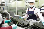 日本人「韓国産海苔最高!」日本の韓国海苔輸入量が歴代最高！全世界で韓国海苔の需要が急成長中　韓国の反応