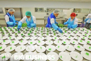 「エコノミーでも最高！」エミレーツ航空で作られる大量の機内食 海外の反応