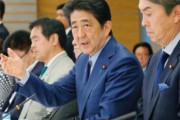 中国人「日本が国内の黒人問題を解決した方法が凄すぎる！」