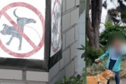 【悲報】韓国人「韓国人経営の日本式レストランに白人女性が犬の排泄物を投げる事件」その理由がこちら‥　韓国の反応