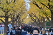 【韓国の反応】街は市民でいっぱい…コロナはすでに他国の話になった日本。韓国の反応「コロナの減少は確実なようだ。見習うことがあまりにも多い。」