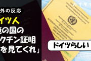 ドイツ人「俺の国のワクチン証明書を見てくれ」海外の反応