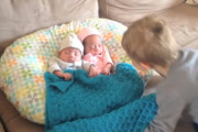 三つ子の弟たちと初対面！うれしくて大興奮しつつも優しく触れ合うお兄ちゃんの姿にほっこり