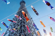 海外「4月に日本旅行をしてきたからその時の写真を紹介するよ！」4月の日本旅行に対する海外の反応