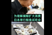 【中国の反応】またもや炎上・・・鯨肉の試食会に「研究のための捕獲って言ってたじゃん！」