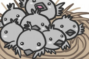 電線の上のカラスの巣を移動させてる日本のエンジニア？　【海外の反応】