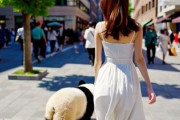 中国人「浅草寺のおみくじは本当に怖いくらい当たる」　中国人「吉が出るまで課金」「敢えて凶を引くべき」