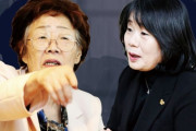 慰安婦で栄えて慰安婦で滅びた者たち＝2020年慰安婦問題総集編