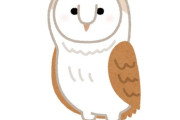 「一生に一度レベルの野生のフクロウを撮ることができた…」神々しい写真
