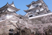 韓国人「日本の地方領主の城 vs 朝鮮王の宮殿」