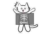 日本で話題の「子猫のレントゲン撮影」が思ってる以上に可愛い！【台湾人の反応】