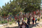 木に布を結んで願い事をするトルコ人　日本の伝統にも似てると話題