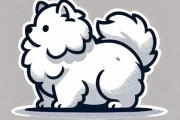 「光が当たってフワフワの犬の本当のサイズが見えるとき…」