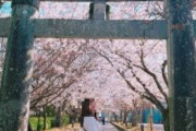 韓国人「韓国の若い女性は反日なのですか？」20~30代の韓国女性らの日本に対する感情とは?　韓国の反応