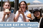 海外の反応「外人ユーチューバーさんが富士山近くのサービスエリアで美味しく昼食を楽しむ」