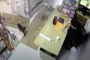 【海外】「いたずら好きな猫が店主を翻弄！その行動が彼の正気を揺るがす」