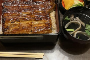 日本旅行を満喫したアメリカ人の写真　海外でどれも興味深いと話題に！