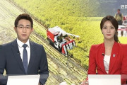 韓国人「元々朝鮮人が米農業の天才だった」日本米より韓国米の方が優秀で美味しい！今後5年で日本米は韓国から退出へ　韓国の反応