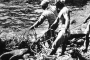 韓国人「日本人は残忍に竹島アシカ1万6500頭を虐〇した」自ら絶滅させたアシカを利用して「竹島の日」をPRする日本　韓国の反応