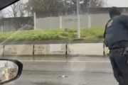 海外「【閲覧注意】 武装した車泥棒を射殺する米警察」