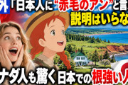 海外「日本人に“赤毛のアン”と言えば説明はいらない」カナダ人も驚く日本での根強い人気【海外の反応】