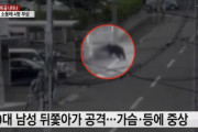 【韓国の反応】熊が現れ、日本札幌市内で通行人4名攻撃