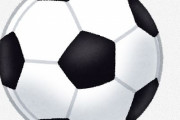 海外「さすが日本だ」ノルウェーに勝利した後のなでしこジャパンのファンに向けた行動が素晴らしいと海外賞賛！