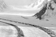 【海外】「驚き！成長を続ける氷河の謎に迫る科学者たち」