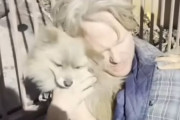 【海外】バイラル犬動画が引き金！緊急時にペットを救う新法制定へ
