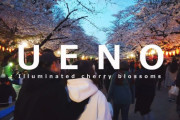海外「きれいな桜…日本は美しい国だ」上野の夜桜に外国人もうっとり（海外の反応）