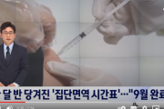 韓国メディア「1カ月半繰り上がった集団免疫のタイムテーブル ... "9月完了"」