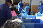 韓国人「台湾が日本の福島食品輸入規制を追加で解除、全ての食品を輸入へ！」→「我が国は？」　韓国の反応