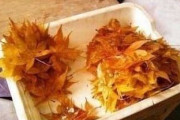 韓国人「韓国人が衝撃を受けた、世界で唯一日本人しか食べない食材がこちらです…」→「本当に食べる？」韓国人の反応