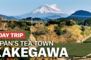 海外「日本でも最高のお茶の産地として知られてる」静岡県掛川市を紹介した動画に反響（海外の反応）