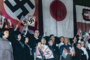中国人「もし日本がドイツと一緒にソ連を倒してたら結果は大きく違ってたんじゃ？」