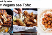 外国人「ヴィーガンと一般人で豆腐のイメージが全然違うよな」