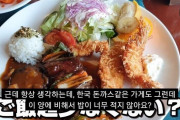 韓国人「韓国のトンカツに不満を持つ日本人がこちら…」