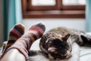 【海外】科学が解明！猫があなたの足元で眠る理由とは？