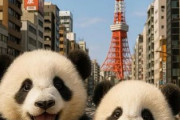 中国人「東京で10日間街歩きをしたら大変なことになった」　中国人「東京は普通の街歩きが楽しい街」「無限の財源があったらなぁ」